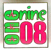 AKA pin - 1908 square.gif